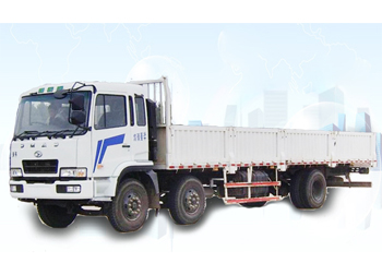 SH1320P30E2M Cargo truck